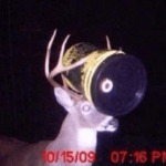 Die atemberaubenden Trail-Cam-Aufnahmen werden zuerst veröffentlicht